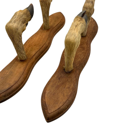 Wall hooks on a wooden mount made from 4 taxidermy deer hooves on a white background