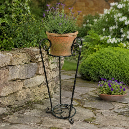 French vintage wrought iron plant stand in a garden setting with a planter full of lavender. A rustic aesthetic ideal for a cottage garden