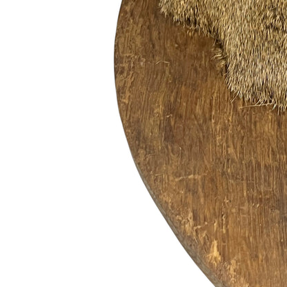 Close-up of a taxidermy deer head on a white background