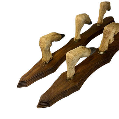 Set of 6 French Deer Hoof Vintage Taxidermy Coat Hooks – Hunting Gift