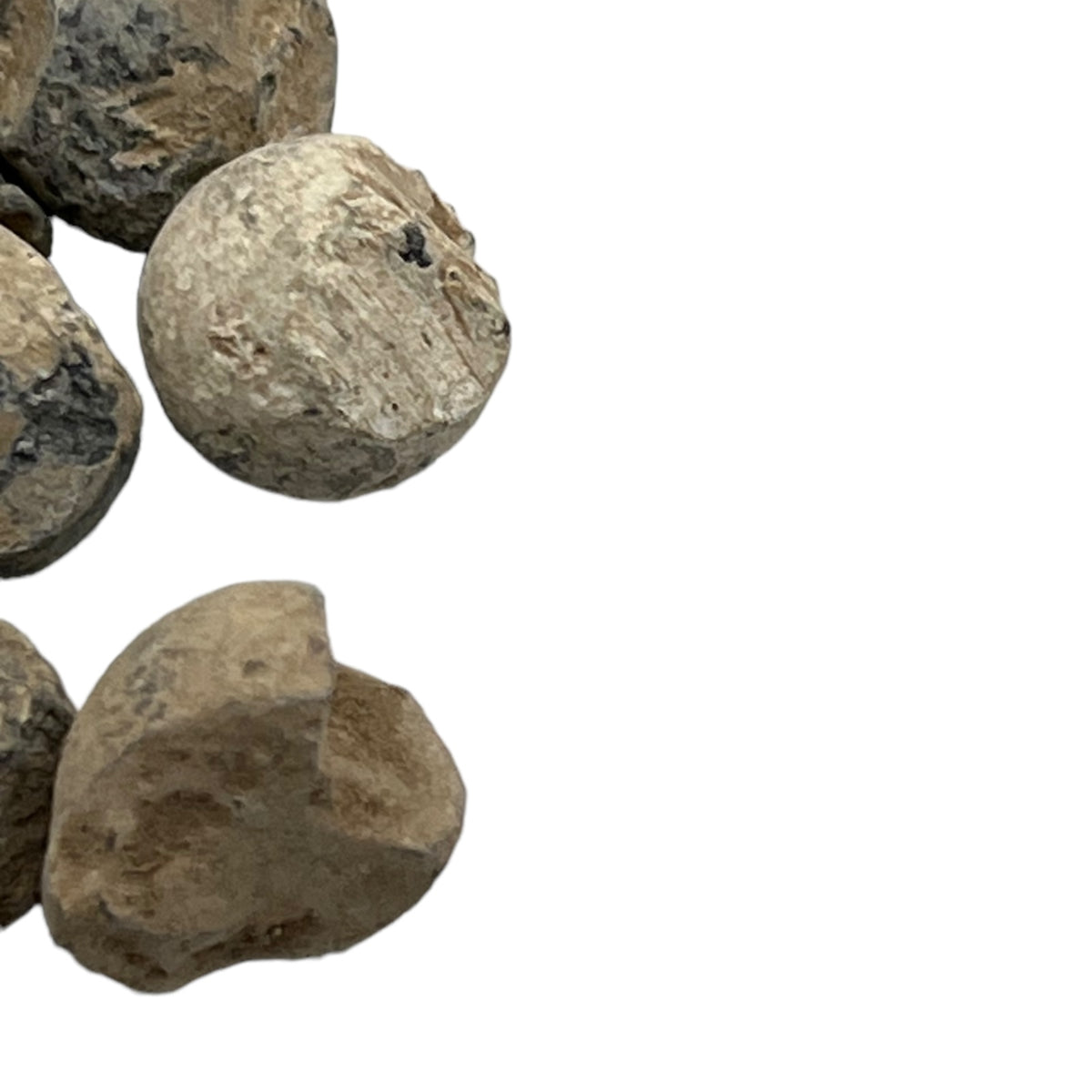 WW1 Shrapnel Balls – 50 - Somme Battlefield Relics – All Things French ...