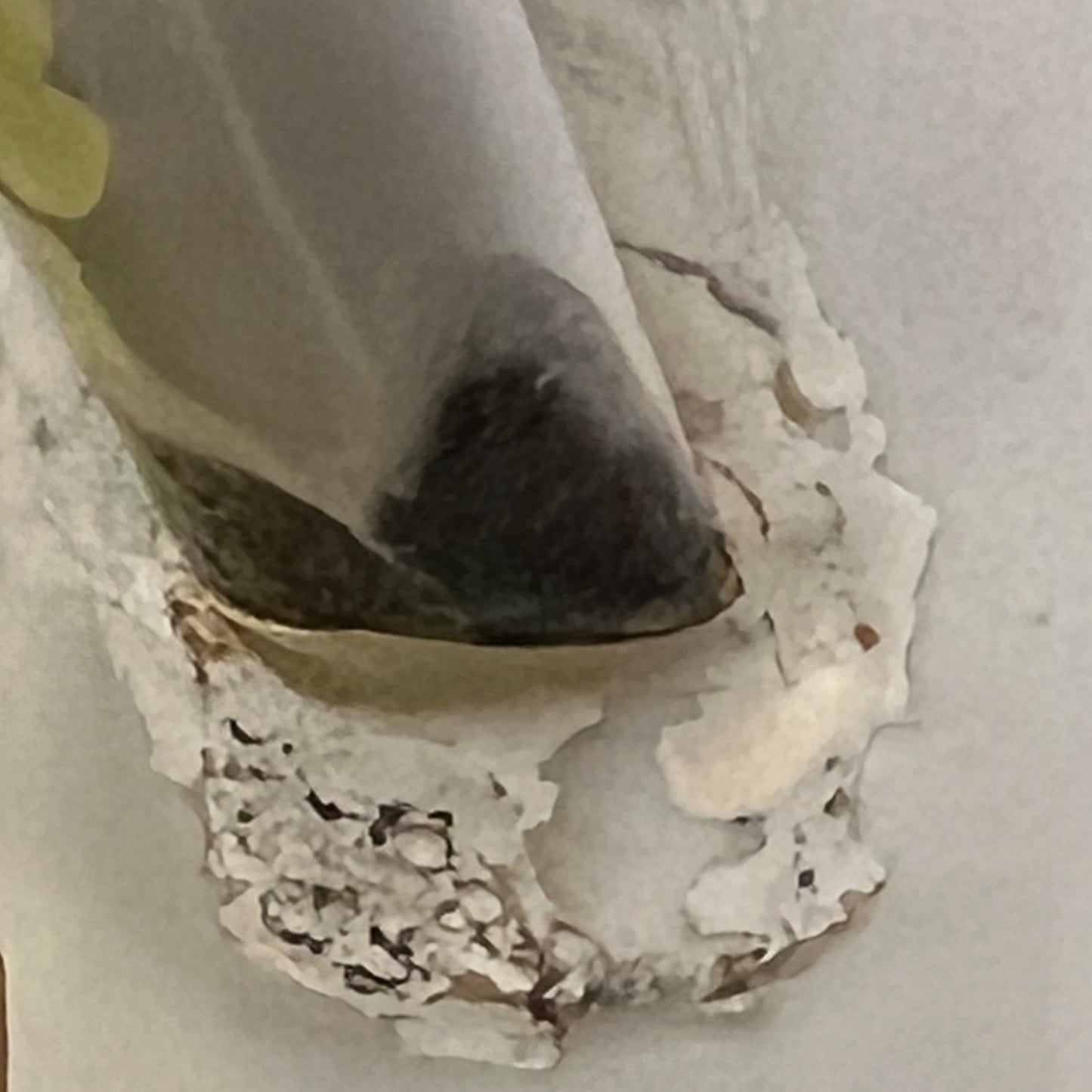 close up image of vintage planter spout