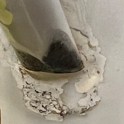 close up image of vintage planter spout