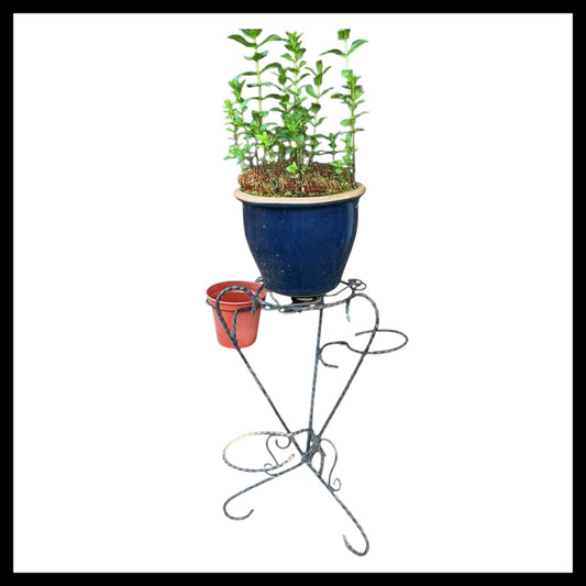 Vintage Retro Mid Century 50s 60s, French Wrought Iron Pot Plant Stand for sale from All Things French Store