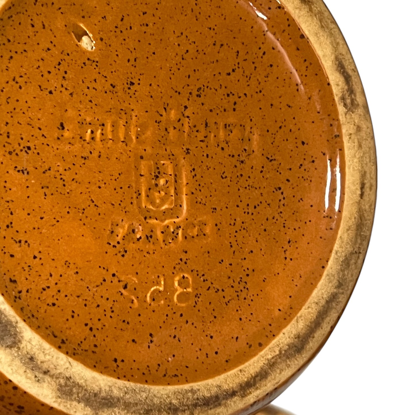 Close up of a French escargot plate on a white background