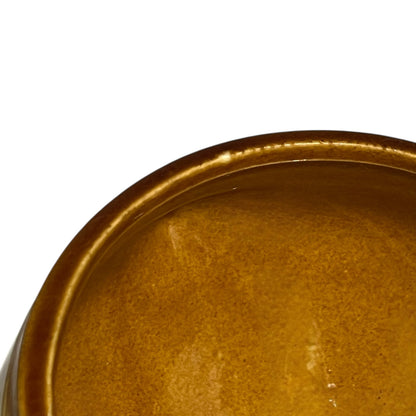 2 Vintage French Lion’s Head Soup Bowls –  Soupe a L'Oignon Pots