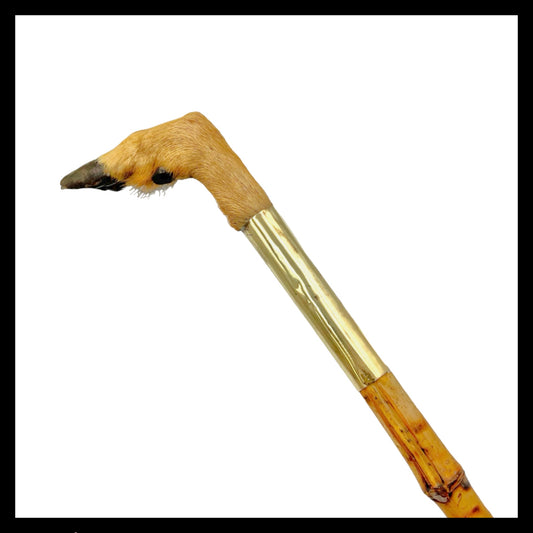 French vintage deer hoof handle bamboo walking cane stick for sale from All Things French Store