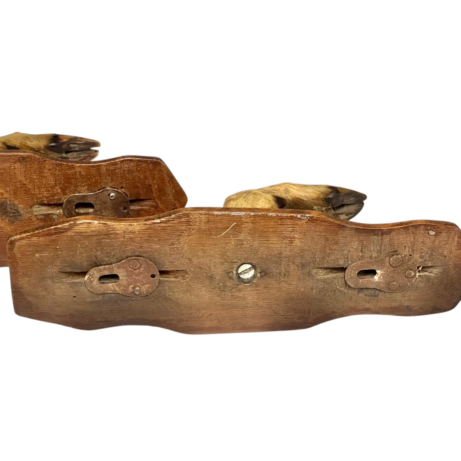 close up of deer hooves on a white background