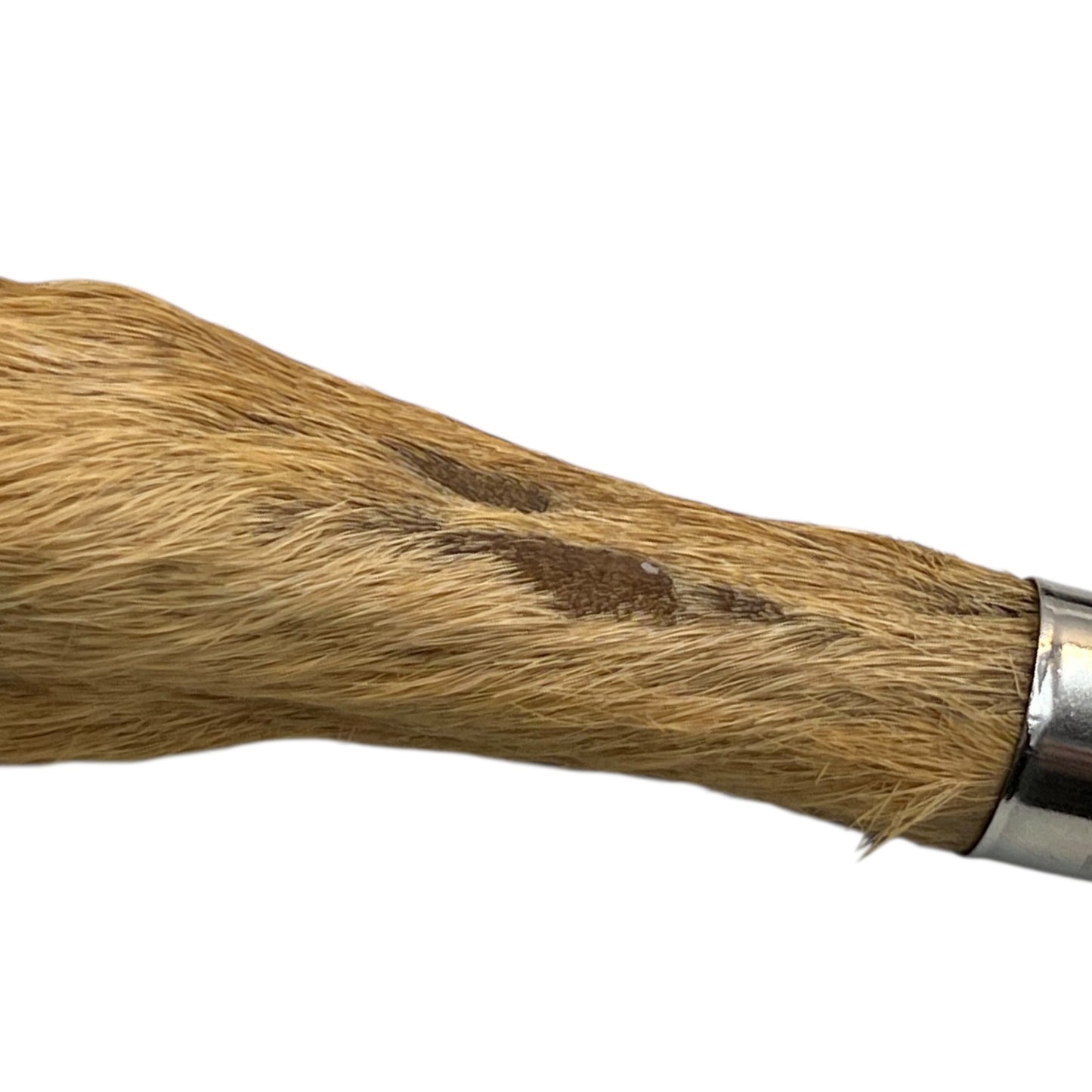 Close-up of a deer hoof handle on a white background