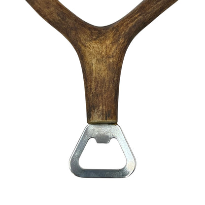 Close-up of a deer antler on a white background