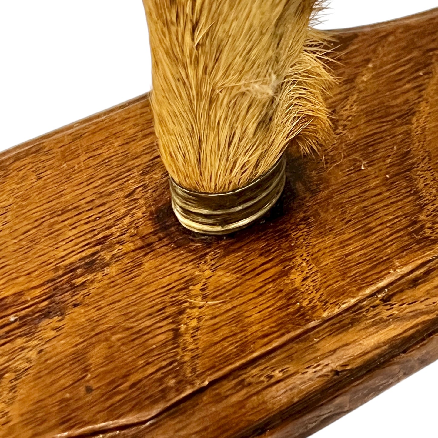 close up of deer hooves on a white background