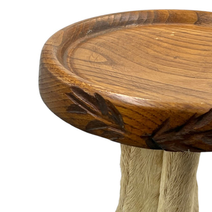 close up of taxidermy plant stand top