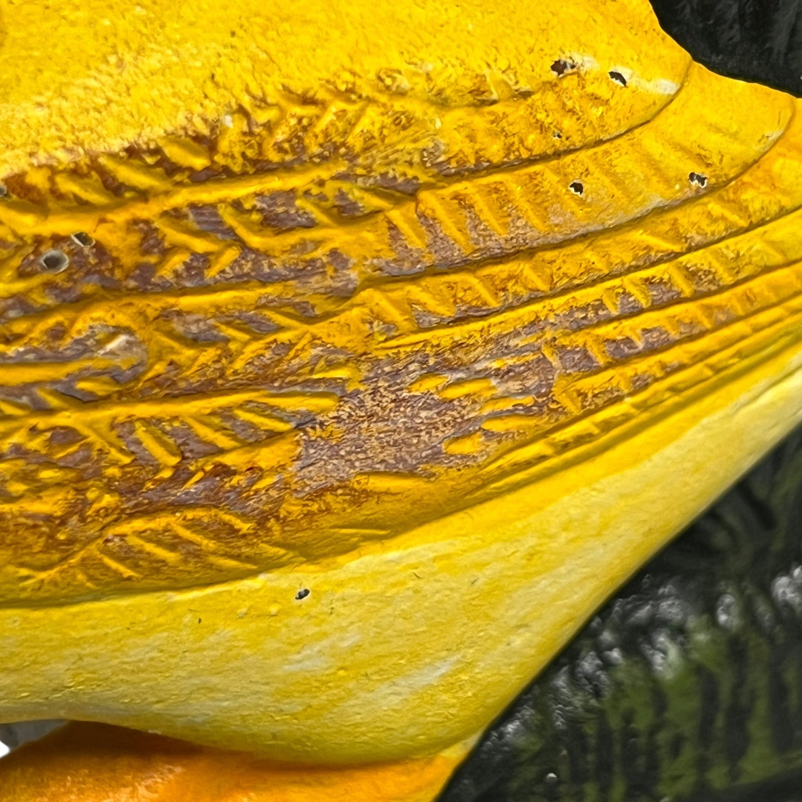 Close up of cast iron doorstop on a white background