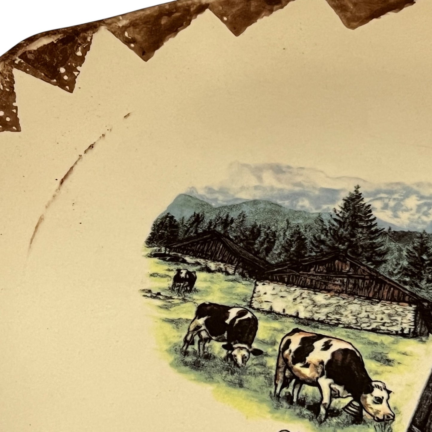Vintage illustration of cows grazing in a field with a barn and trees in the background.