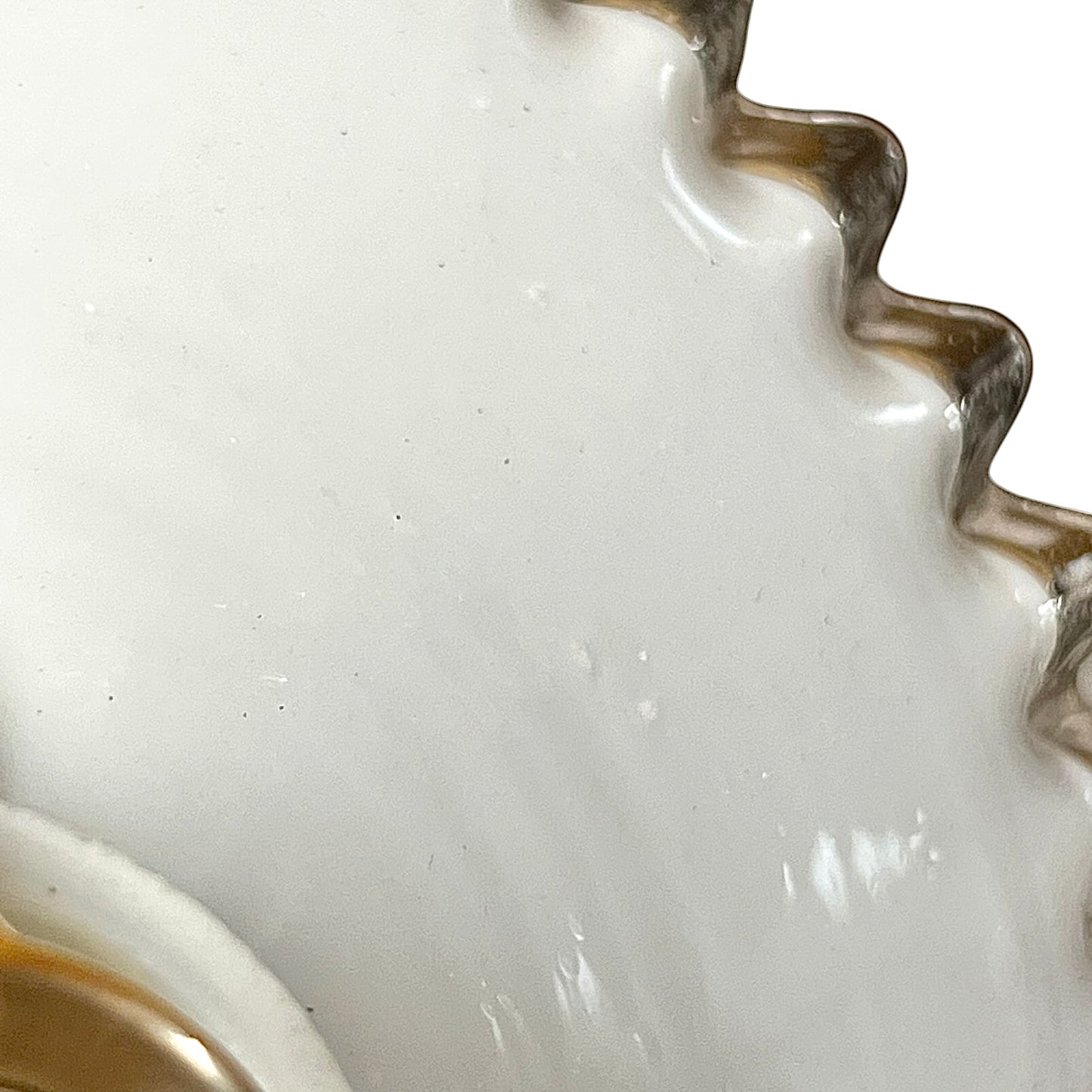 Close-up of a white glass lampshade with decorative edge on a white background