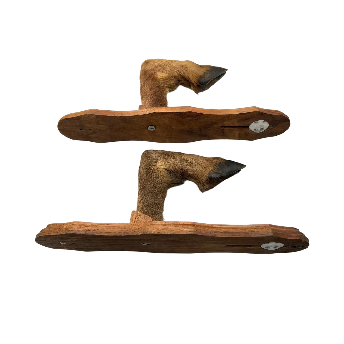 Vintage French Deer Hoof Taxidermy Coat Hooks | Rustic Hunting Wall Hooks
