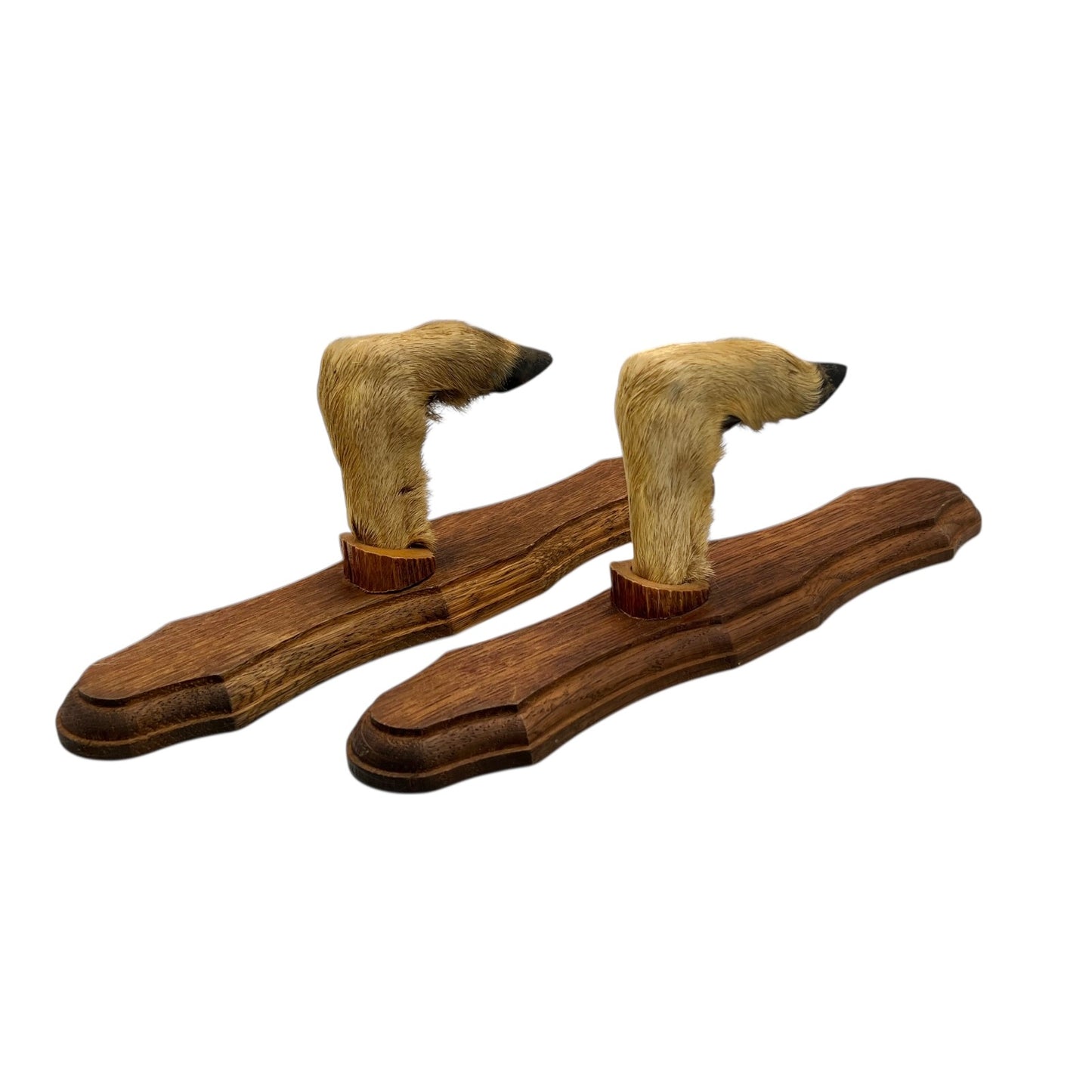 French Deer Hoof Vintage Taxidermy Coat Hooks – Hunting Gift