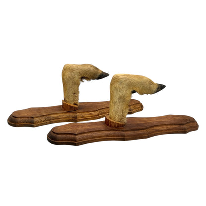 French Deer Hoof Vintage Taxidermy Coat Hooks – Hunting Gift