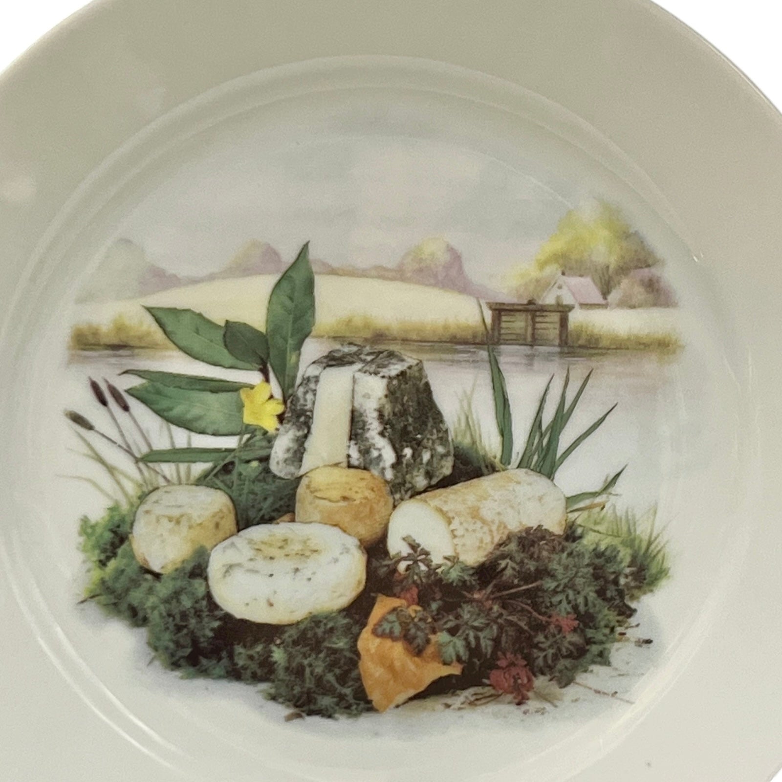 close up of a French patterned cheese plate