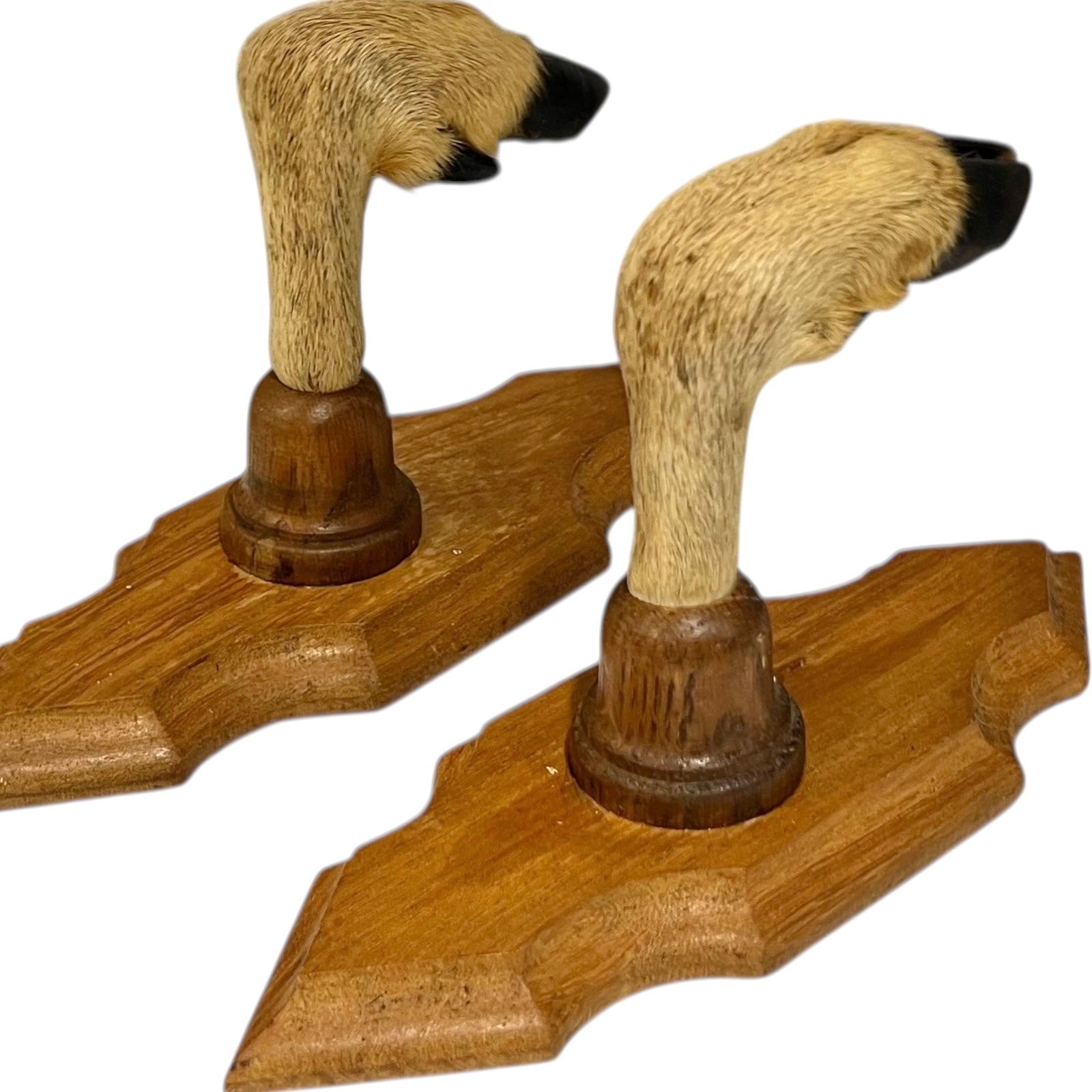 Wooden wall hooks made from deer hooves design on a white background