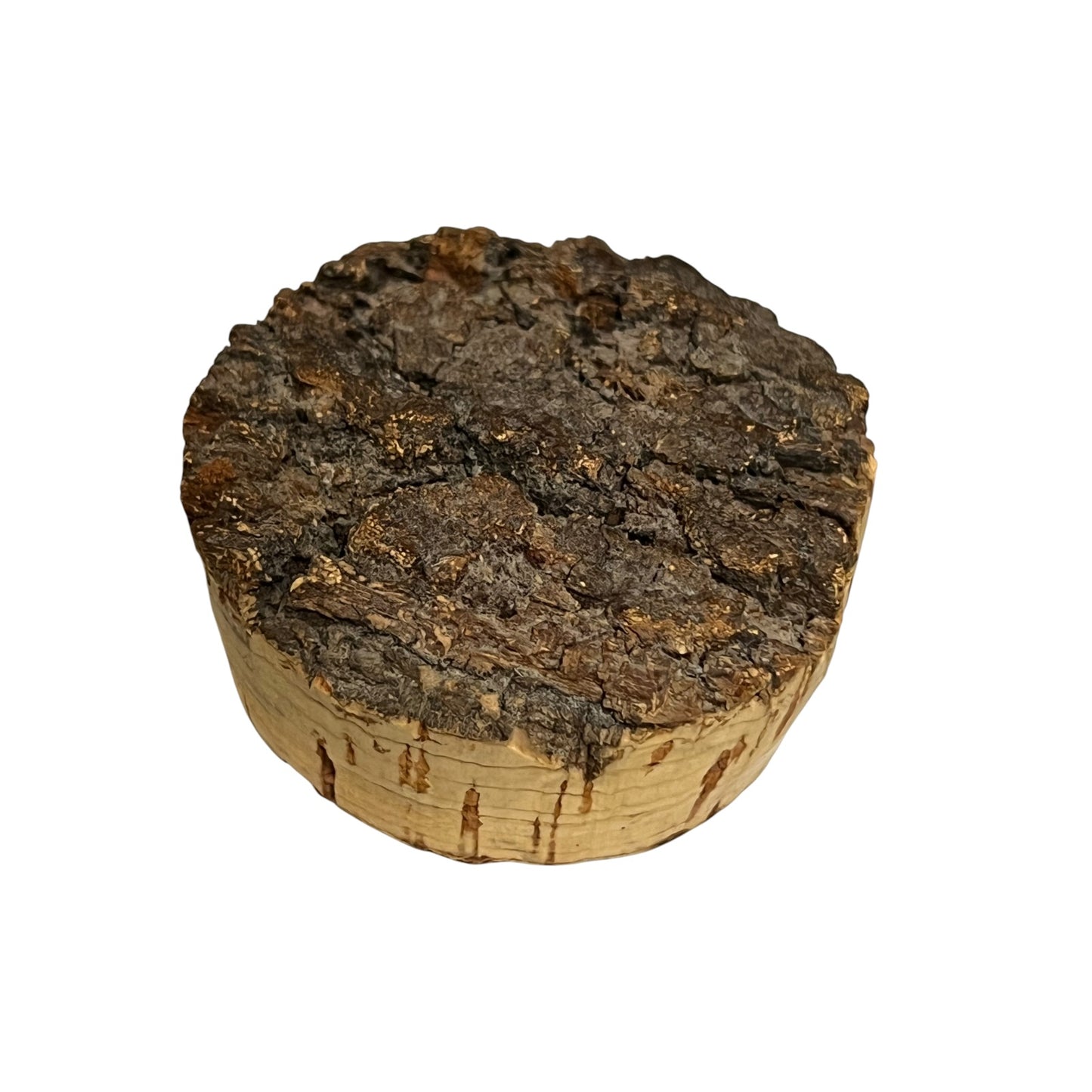 Round cork lid with textured surface on a white background