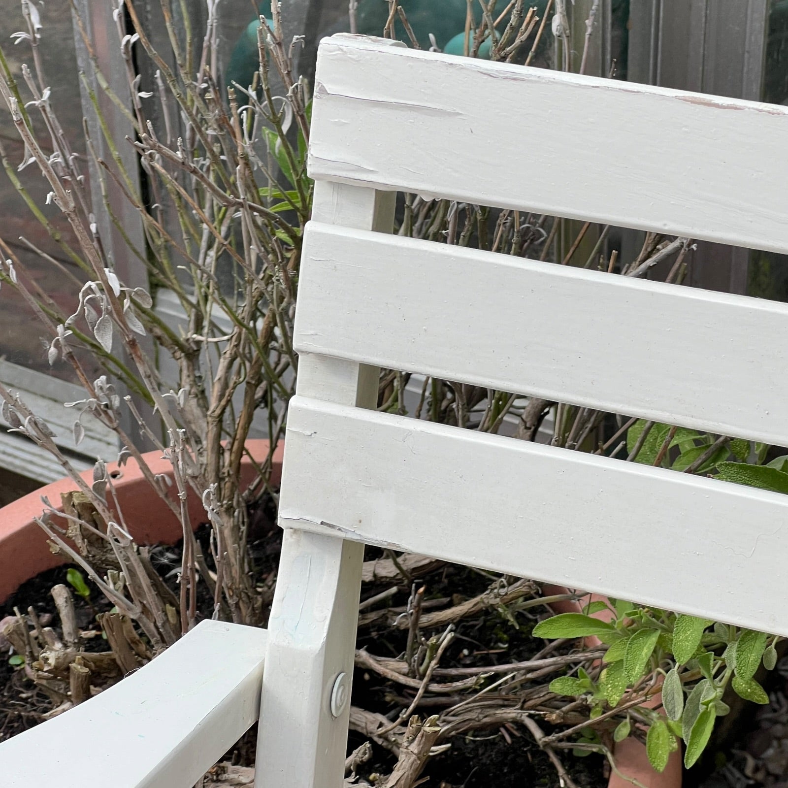 Close-up detail of French wooden slatted chairs, highlighting their condition in an outdoor setting.