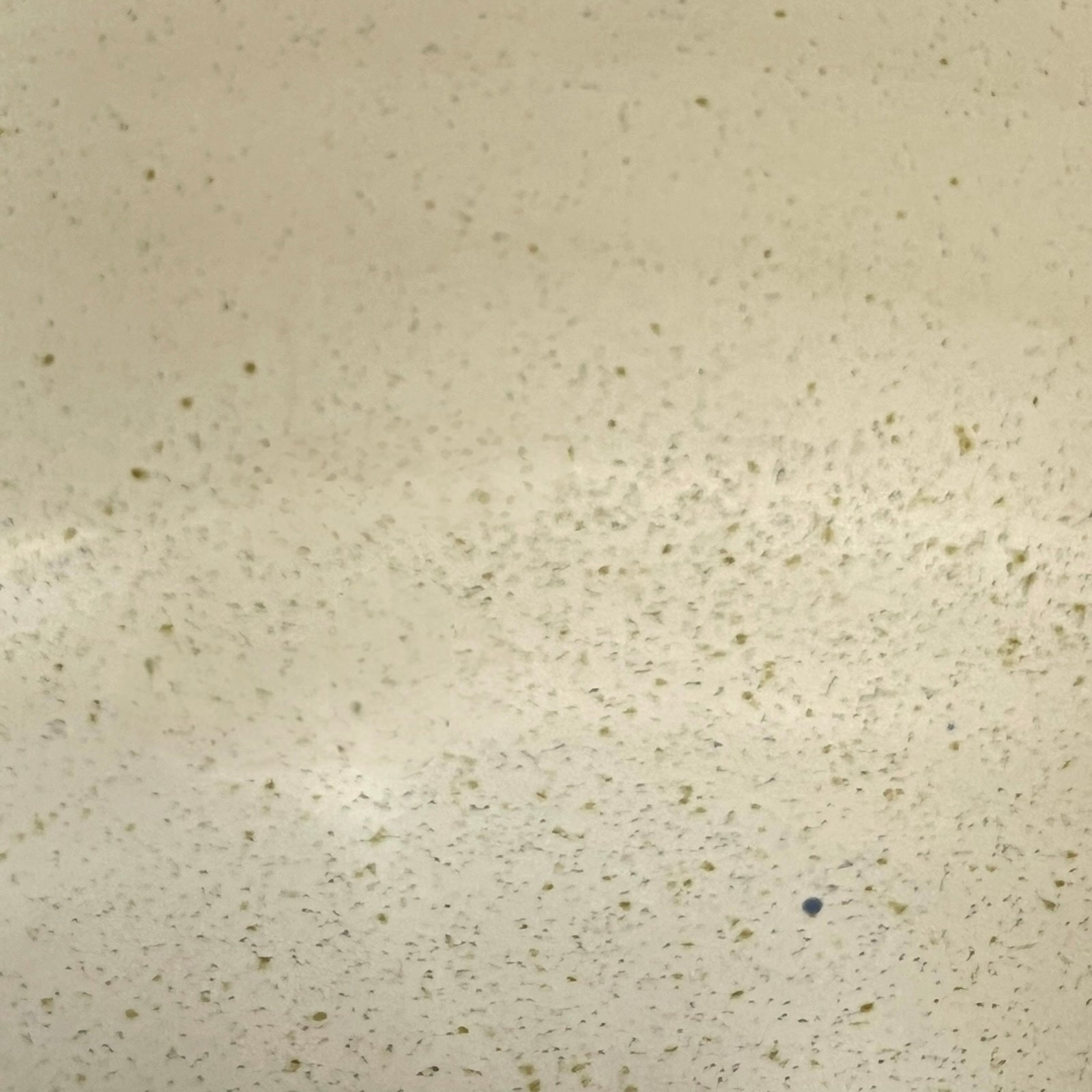 Close-up of a speckled beige surface