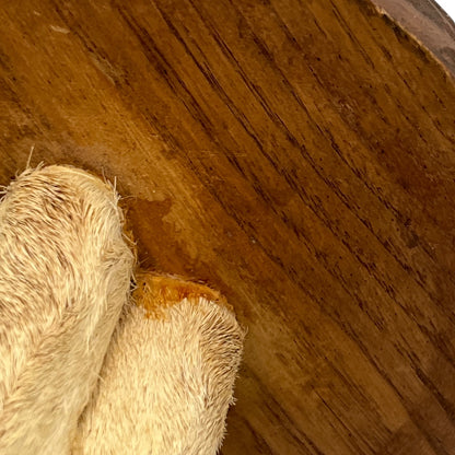 close up of taxidermy plant stand underside