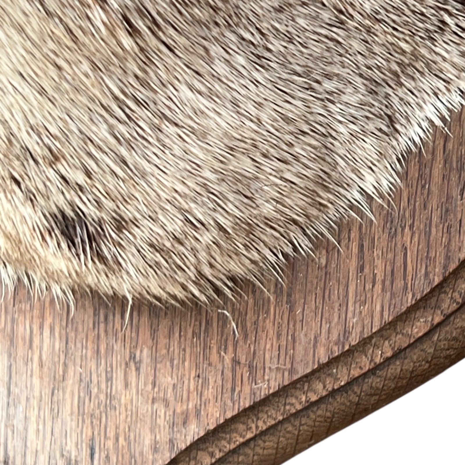 Close-up of a wooden surface with fur texture