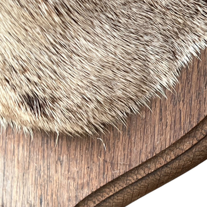 Close-up of a wooden surface with fur texture
