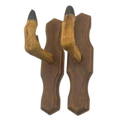 Pair of French vintage deer hooves on wooden mounts on a white background