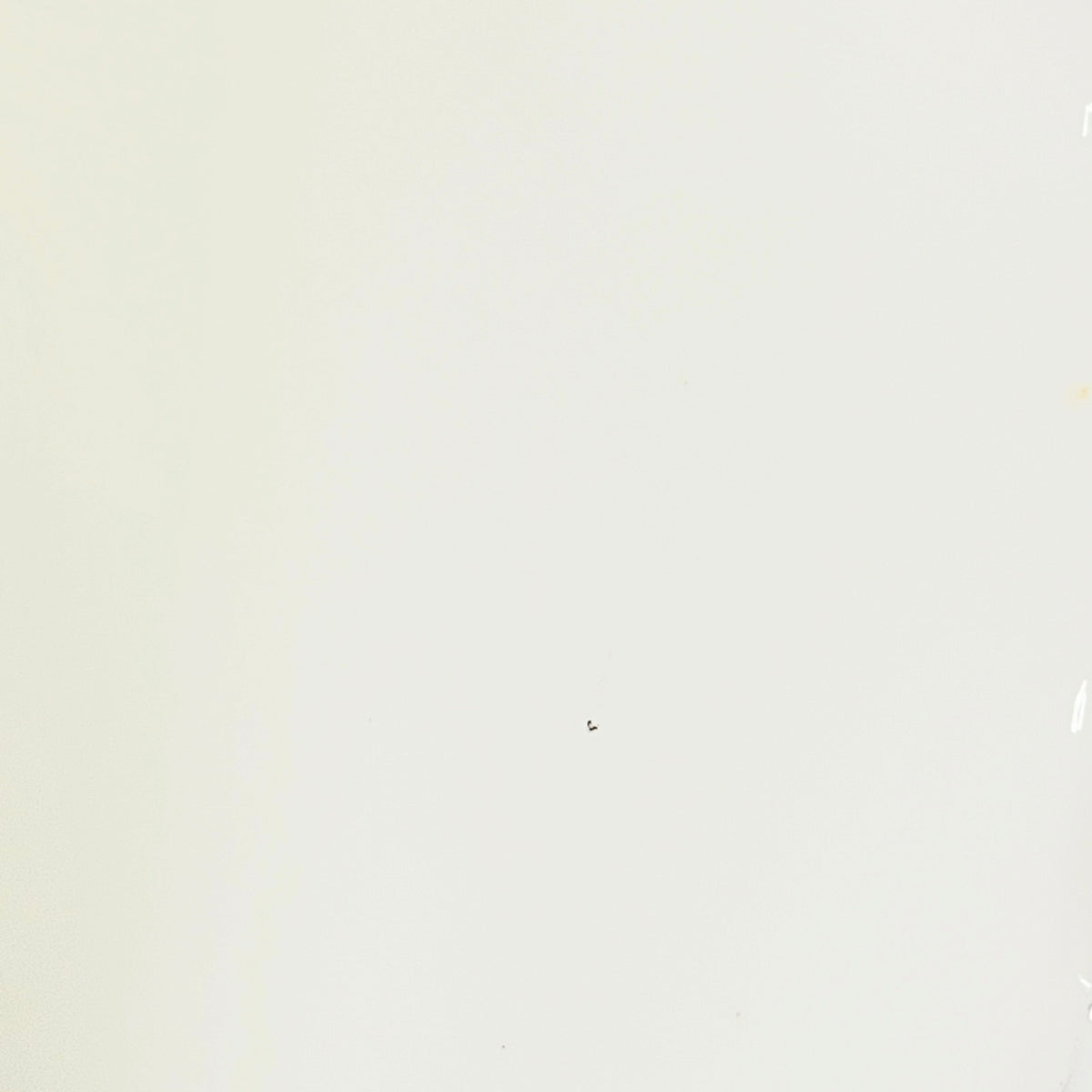 A nearly solid off-white to cream surface with a tiny dark speck near the center and faint edge marks along the right side.