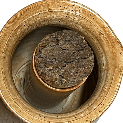 Close-up of a cork in a wine jug with a white background