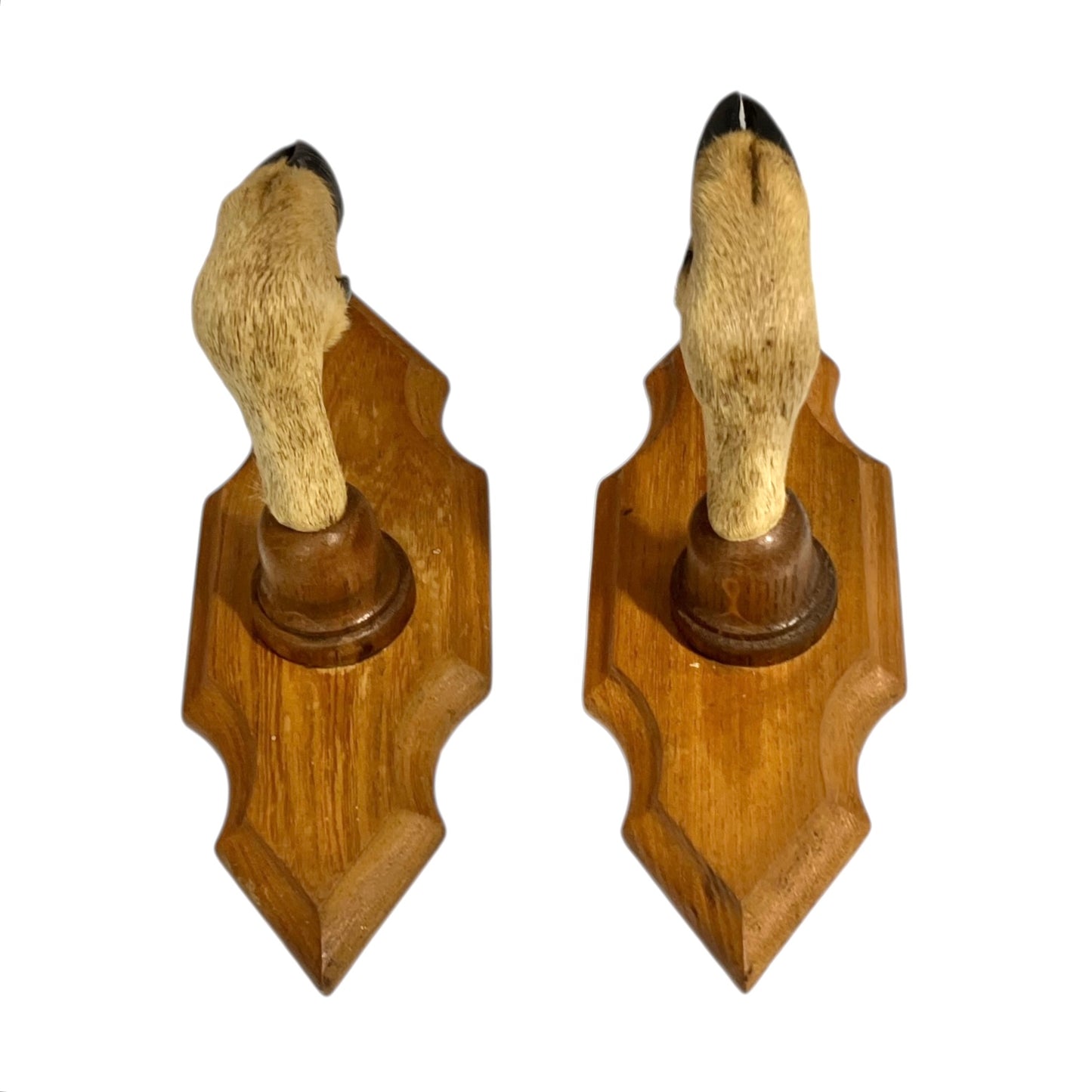 Wooden wall hooks made from deer hooves design on a white background