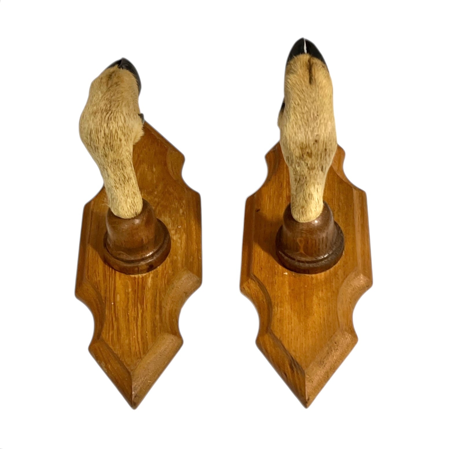 Wooden wall hooks made from deer hooves design on a white background