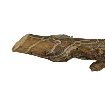 Close-up of a taxidermy small animal with a white background