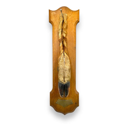 French Vintage Taxidermy Deer Hunting Trophy, Taxidermy Leg Decoration for sale from All Things French Store