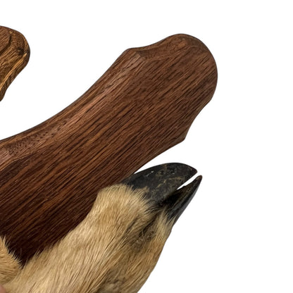 French Deer Hoof Vintage Taxidermy Coat Hooks – Hunting Gift