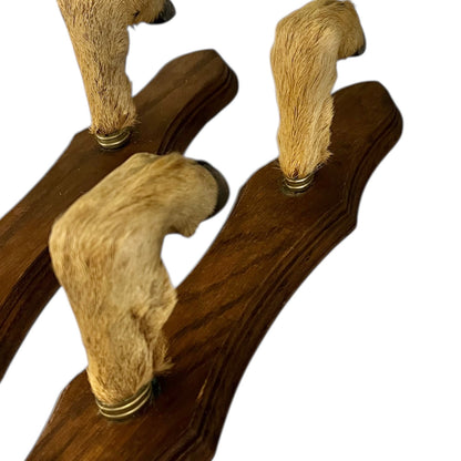 Set of 6 French Deer Hoof Vintage Taxidermy Coat Hooks – Hunting Gift