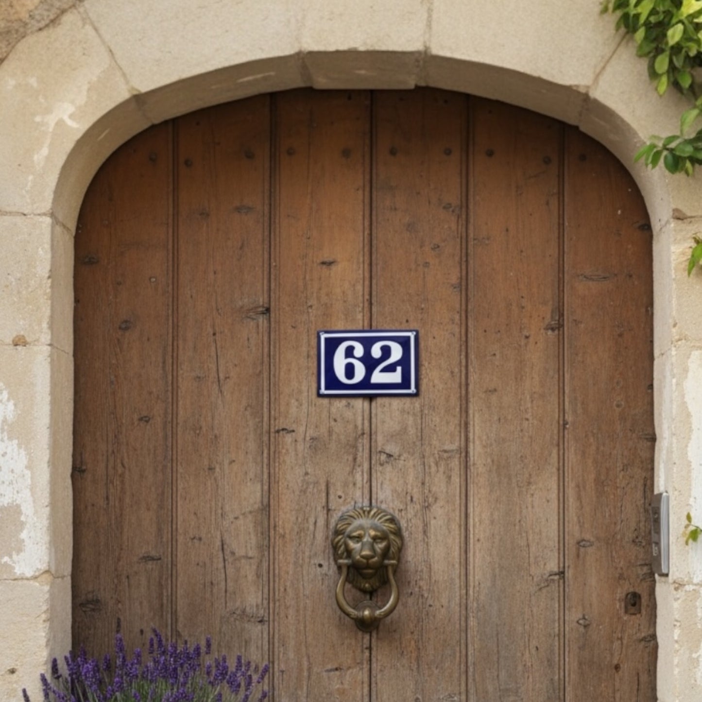 Wooden door with a lion knocker and number 62 sign, set against a stone wall.