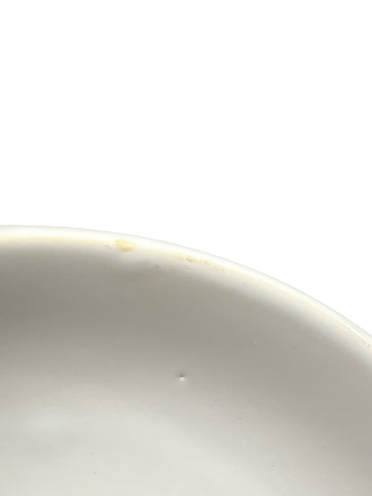 close up of a small nibble on a plate on a white background 