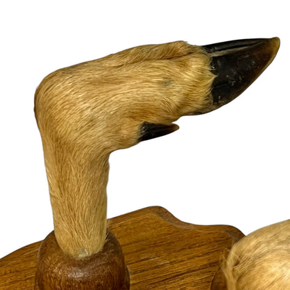 Vintage French Taxidermy Deer Hoof Coat Hooks – Set of 4
