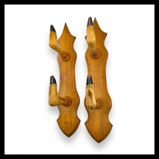 French Taxidermy Roe Deer Hooves Coat or Hat Hooks, Gun Rack or Umbrella Holder for sale by All Things French Store