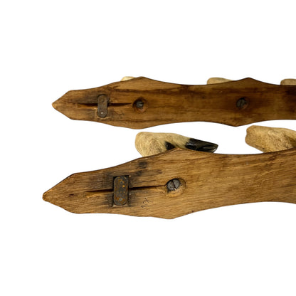 Set of 6 French Deer Hoof Vintage Taxidermy Coat Hooks – Hunting Gift