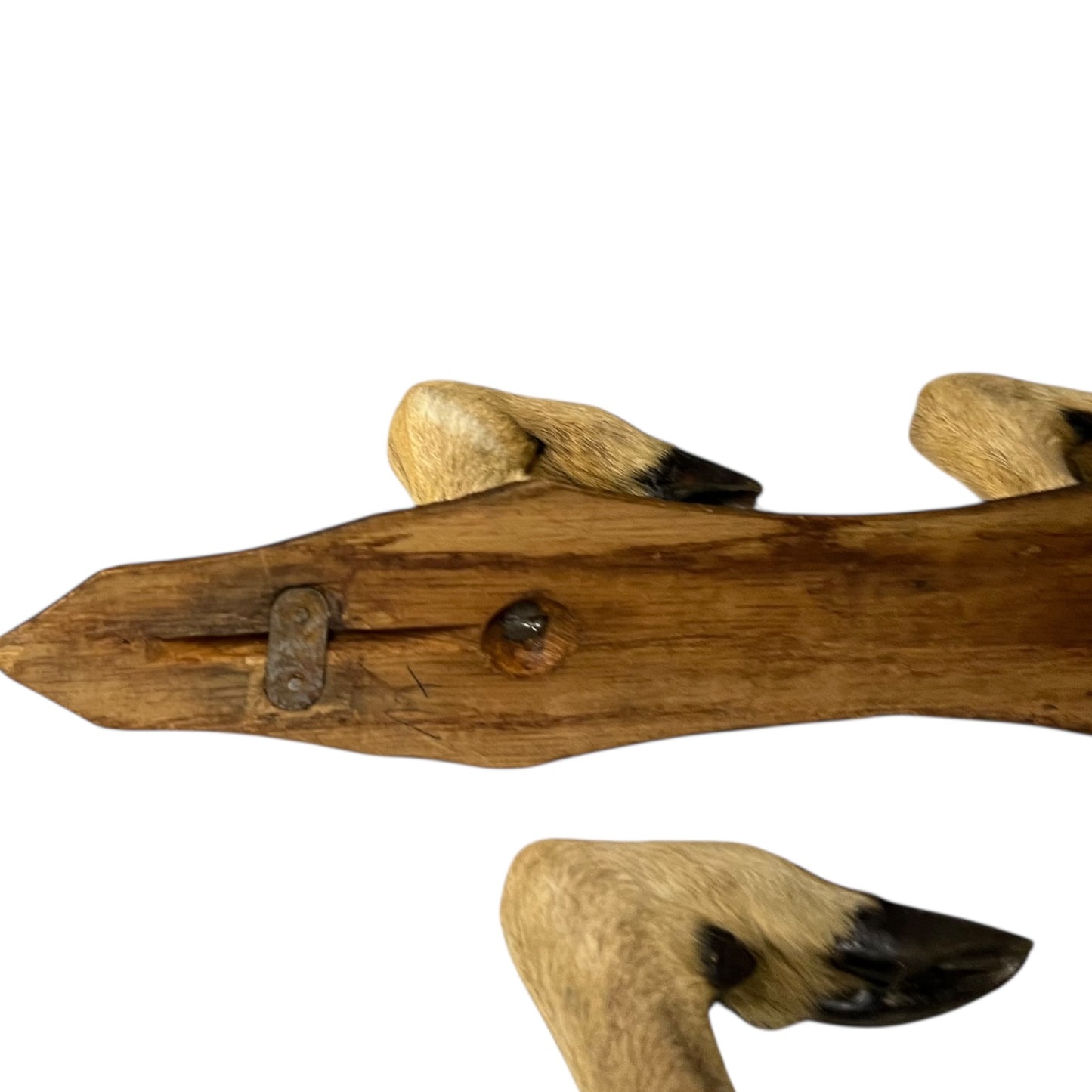 Set of 6 French Deer Hoof Vintage Taxidermy Coat Hooks – Hunting Gift