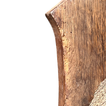 Close-up of a taxidermy deer head on a white background