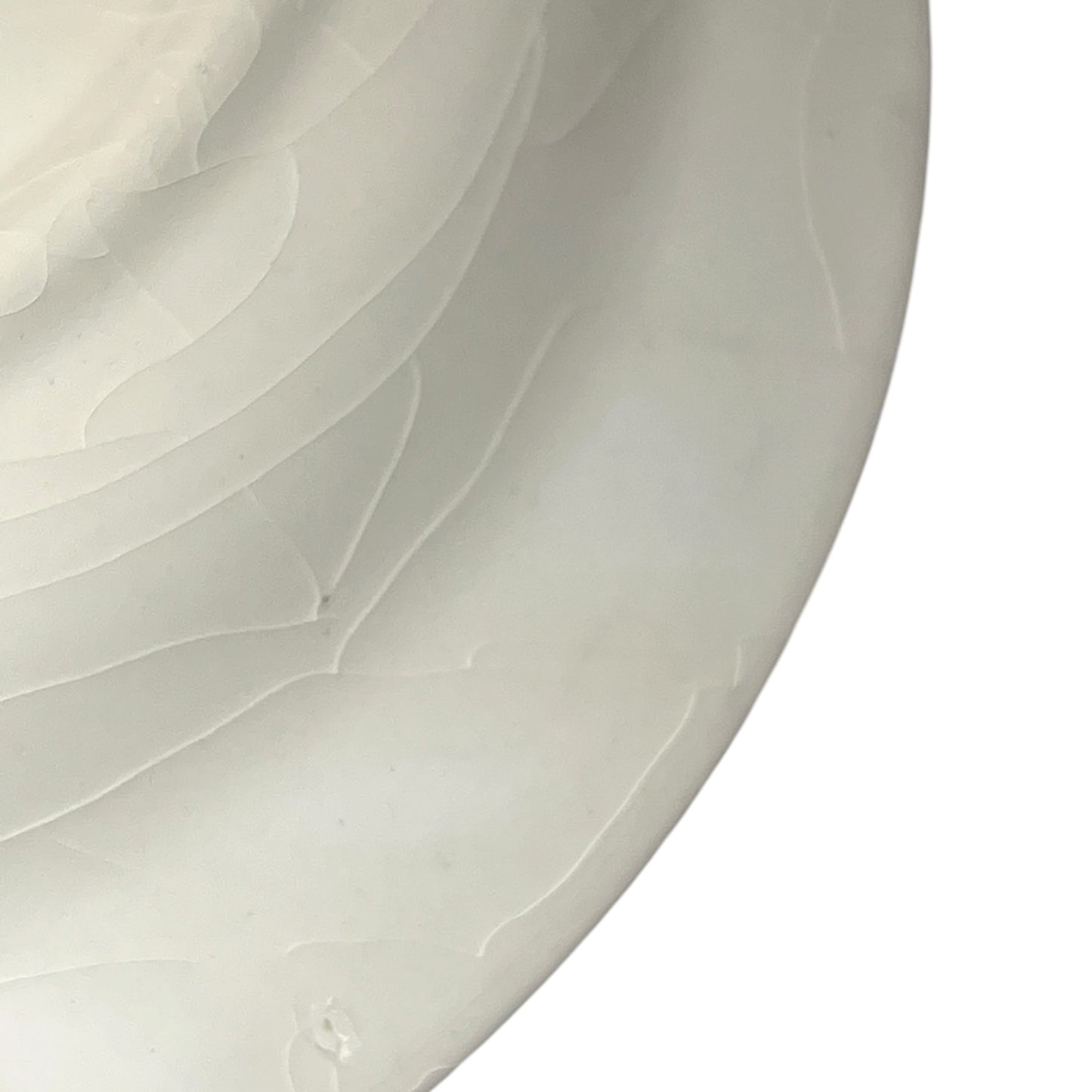 Close-up of a white ceramic plate with a textured surface