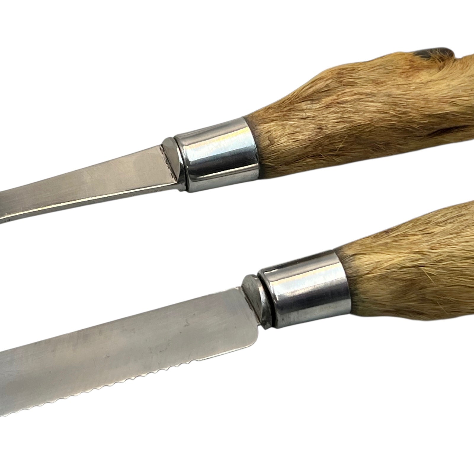 Close up of deer hoof taxidermy  cutlery on a white background