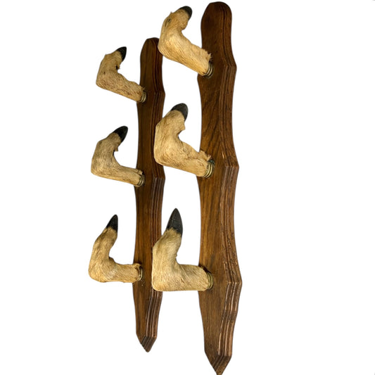 Wooden wall hooks made from taxidermy deer hooves on a white background
