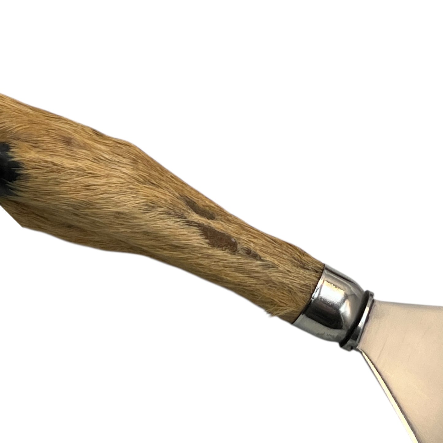 Taxidermy deer hoof handle with metal slice on a white background